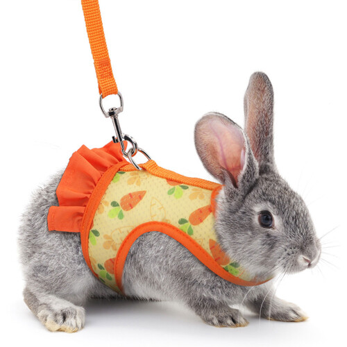 Harness Leash for Pet Safe Walk Running (Carrot Pattern)-blue S 2