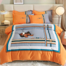 Queen Sheet Sets Orange 1.5m Cotton Cover All Seasons Zipper Closure Bedding Set