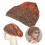 Bonnet décontracté en dentelle ornée de perles marron taille unique 13