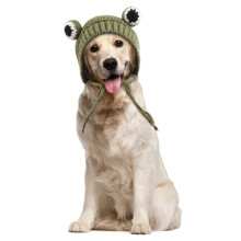 Cute Knitting Hat for Cats and Dog Puppy Winter Warm-Green