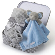 Hoolaroo Newborn Baby Gift Set New Baby Gifts Boy