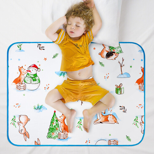 Aolso Potty Training Bed Pads, Bed Protector for K