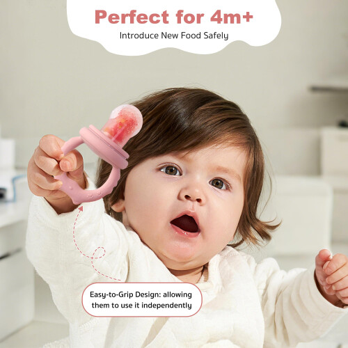 Fruit Feeder for Babies (4M+) - Includes Teething 1