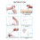 AFUNTA 23 Inch Claw Mobile Bed Bell Holder with Mu 5