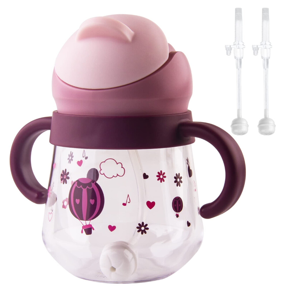 Sippy Cup For Baby 6+, Weighted Straw Non-Spill Cu Nohlerlife