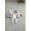 Mamas & Papas Mamas & Papas Tummy Time Roll, Interactive Soft Ba 5