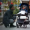 Lejoux+ Baby Pushchair (Pure Black) 7