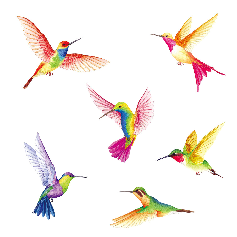 Ds2-4002 6 Large Beautiful Humming Birds Wa Bashom