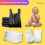 ezkart Pack of 1000 - Black Strong Plastic Nappy B 5