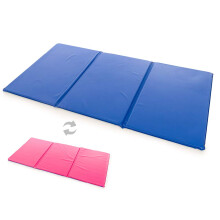 Sleeping Lionzzz Blue/Pink Value Sleep Mattress, Q