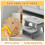COSYLAND Dinosaur Shaped 2 Step Stool for Kids – H 7