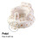 PandaEar Inflatable Baby Seat for 3 Months+, Infla 3