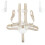 Hxeternal 5-Point Harness - Only Compatible with T 1