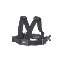 LittleLife Child and Toddler Safety Walking Harness and Reins