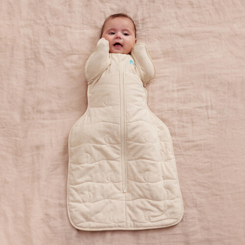 Love To Dream Swaddle UP Transition Bag, Medium 2