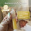 haakaa Silicone Colostrum Collector Kit, Breast Mi 2