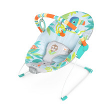 Bright Starts Baby Bouncer Soothing Vibrations Inf
