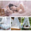 Mosquito Net,Bed Canopy Tent Portable Mesh Camping 5
