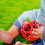 baby einstein Bright Starts Oball Easy Grasp Red Apple Teether T 2