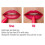 Σετ δώρου με ματ κραγιόν, κιτ lip gloss με χρωστικές και μολύβια χειλιών, αδιάβροχο 8