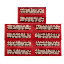 Acrylic Resin Denture Teeth Synthetic Polymer Tooth Enamel Layer Design No Voids Moldable Fake Teeth For Tooth Repair Learning Model Halloween