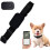 Cat Tracker GPS Collar For Cats And Dogs, Cats GPS Tracker, iOS Android Compatible, Black 1