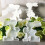2 Stück Haseneier Blumen Silikonformen Ostern Silikonformen für 2