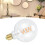 Lampadina LED G95 4W 14x9.5x9.5cm Luce calda E27 8