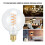 Lampadina LED G95 4W 14x9.5x9.5cm Luce calda E27 3