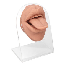 Modèle de langue humaine en silicone souple avec support en acrylique pour pratique de piercing, blond chair