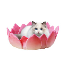 LotusShape Cat Scratcher Board Toy Kitten Scratch Board
