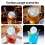 Multifunktionale Silikonformen für Eiswürfel, Schokolade-Rosa 4 2