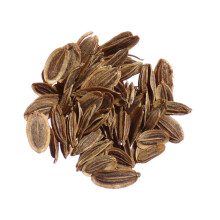 Dill Seed Packet Anethum Graveolens L Officinal Dill 0.50 Ml Sem02