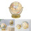 Mini Desktop Earth Globe Rotating World Map Teaching Tool for Students 16