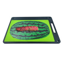 Lawn Exercise Mat, Training Mat With Feedback, Lane Detection Mat For Beginners And Pros, Indoor Outdoor Use
