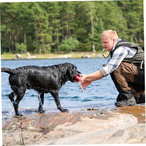 Adjustable Ultrasonic Dog Trainer Whistle Nickel Plated Brass Silver With Key Ring Loop For Barking Control 2