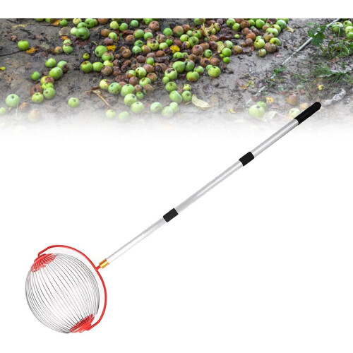 Nut Gatherer Roller Pecan Picker Upper Walnut Picker Upper Multipurpose Nut Collector Small Ball 2