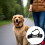 XL Dog Muzzle for Large Dogs, Adjustable Polyester Mesh, Snout Size 22-28 Cm, Secure Black Strap for Comfort 4