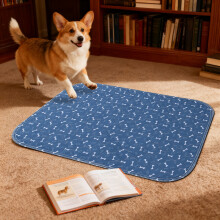 (D) Pee Pads The Pee Pad Dogs Actuallyuse 2026 Puppy Pads