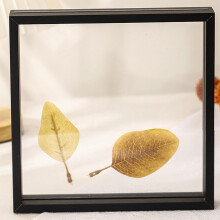 Floating Frame Double Glass Picture Frame For Dried and Pressed Flowers Desktop 8Inch Black 1.2 cm Wide 4 cm Thick