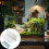 Efficient Filter Replacements for Aquarium FishTank Pad 6