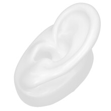 Outil pédagogique : Modèle d’oreille en silicone de haute qualité pour une présentation claire et une pratique authentique du piercing, idéal