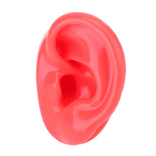 Modèle d'oreille humaine en silicone souple, outil pédagogique de démonstration, pour la science et l'éducation. Texture réaliste, effet peau