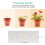 LED Grow Light Quantum Board for Indoor Plants, USB Powered 5V Hanging Efficiency Lamp 2