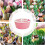 Indoor Hydroponic Planter, 3Hole PP Pot for Hyacinth and Daffodil, Efficient Root Growth 3