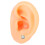 Human Ear Model Simulation Display Soft Silicone Teaching Tools Science And Education Model Real Skin Feel Realistic Texture Teaching Demonstration P 6