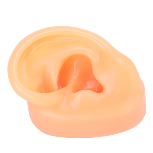 Human Ear Model Simulation Display Soft Silicone Teaching Tools Science And Education Model Real Skin Feel Realistic Texture Teaching Demonstration P 2