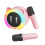 Portable Karaoke System with RGB Lights, 2 Wireless Mic 1200mAh 14