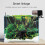 USB Powered WiFi Aquarium Fish Feeder 24L Auto Timer App Remote Control 6