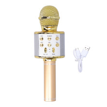 Wireless Microphone With LED Lights And Sound Effects: Bluetooth Karaoke Mic With Multifunction Features Perfect For Kids Adults At Home Or On The Go
